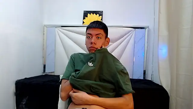 Liarr_ webcam