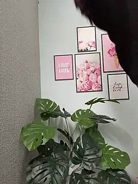 Nana-19 webcam