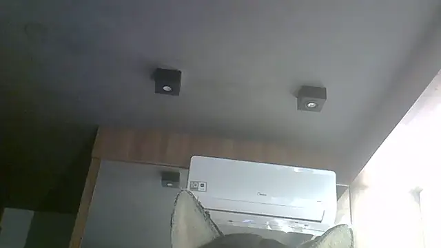 SkinnyKitten webcam