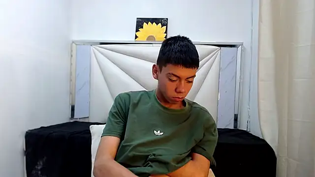 Liarr_ webcam