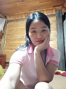 Td3di webcam