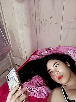 Nul_chal webcam