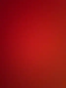 negopika webcam