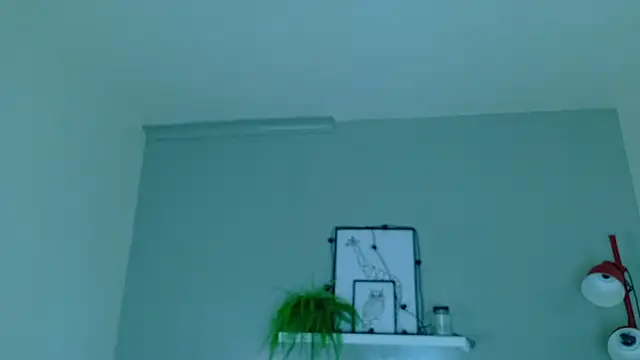 LexaDominant__ webcam