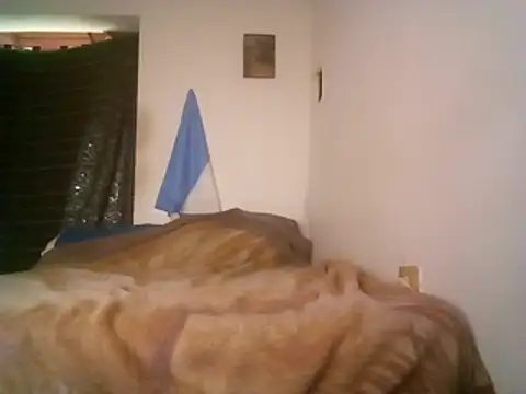 wa379 webcam