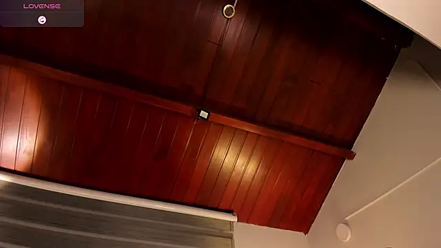 MERIDA_TAYLOR webcam