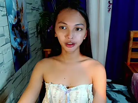 SimiLause webcam