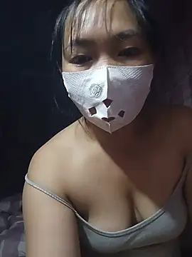 Hiha-nn webcam