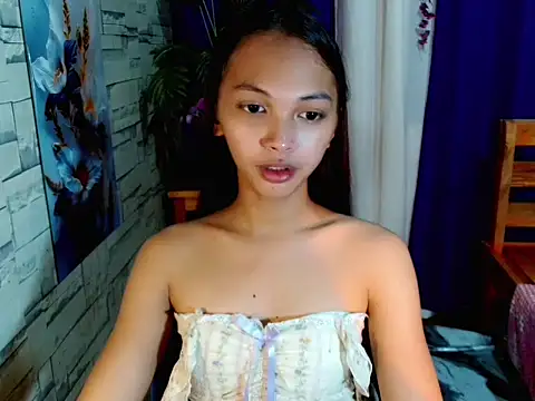 SimiLause webcam
