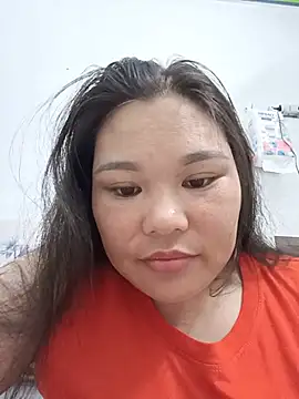 Holy-mi webcam
