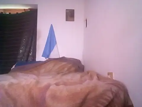 wa379 webcam