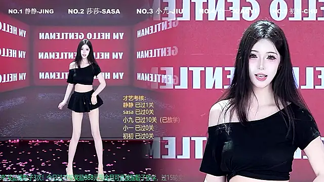 TY-002 webcam