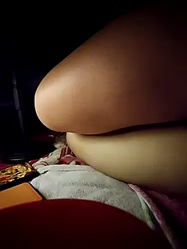 -Tara-a webcam
