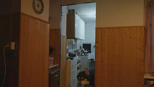 VanessaDoyle webcam