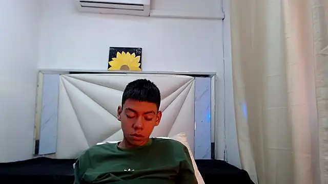 Liarr_ webcam