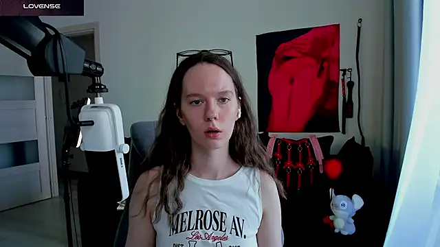 Vulgar_Tamer