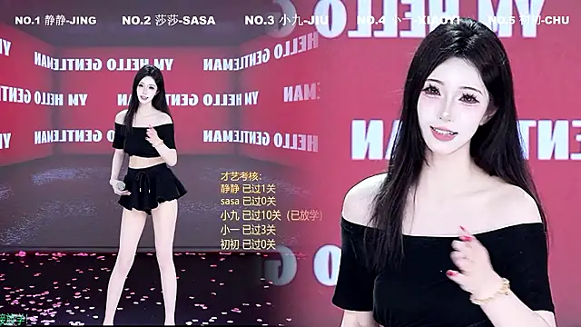TY-002 webcam