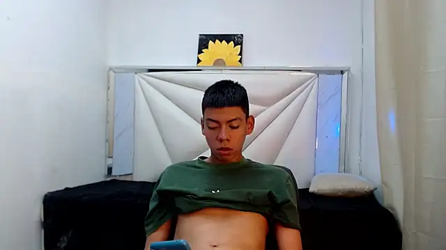 Liarr_ webcam