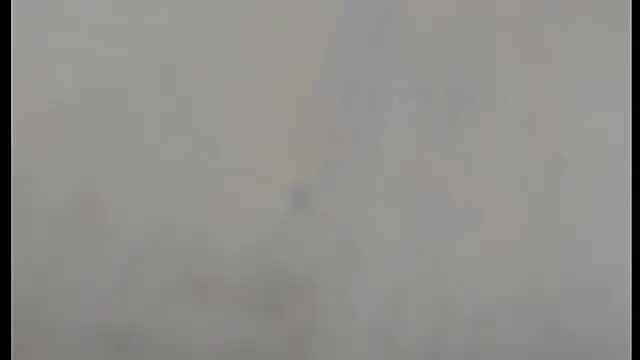 spreet117 webcam