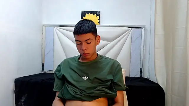 Liarr_ webcam