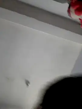 Cataleya_ja webcam