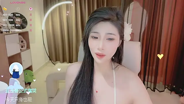 Vaidurya-Yolo webcam