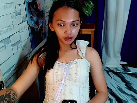 SimiLause webcam