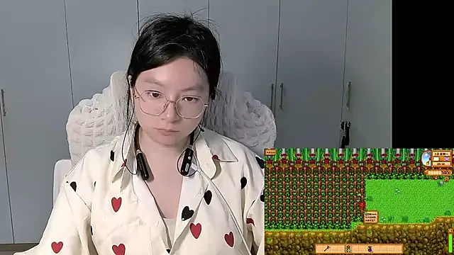 Erya-369 webcam