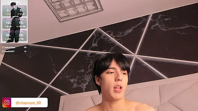 AerumChae webcam