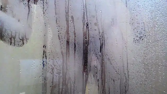 LicitInvader webcam