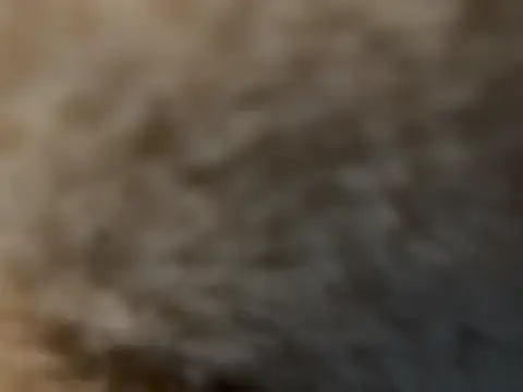 misscutee webcam