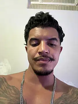 Sanicrt webcam