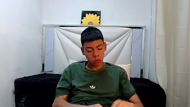 Liarr_ webcam