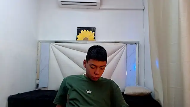 Liarr_ webcam
