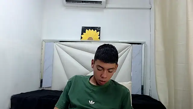 Liarr_ webcam