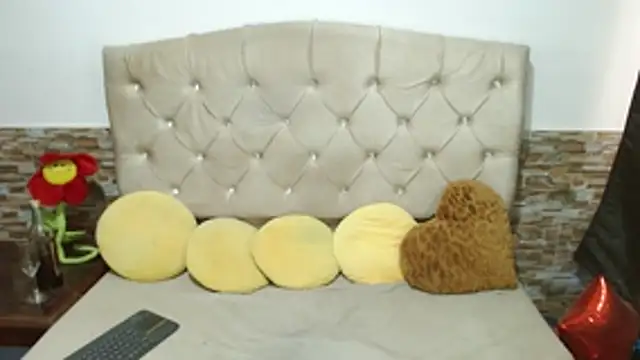 Adafield_ webcam