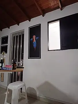 SilvaBranko webcam