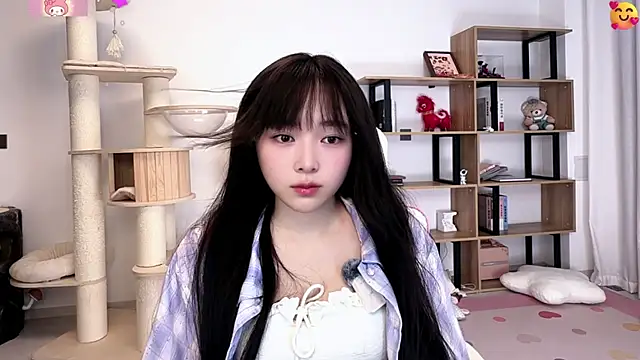 SakuraCat6 webcam