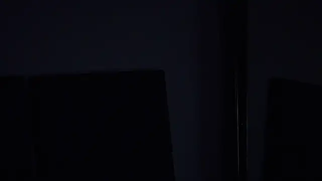 ParanoidTemptaion_ webcam