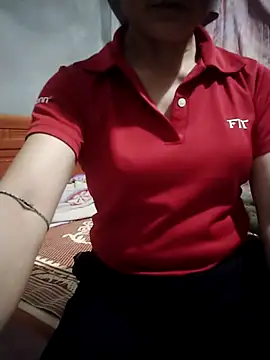 phlin1 webcam