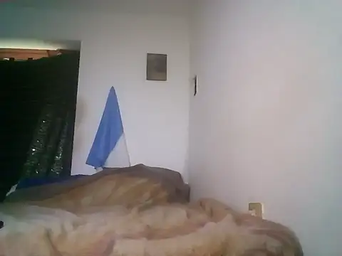 wa379 webcam