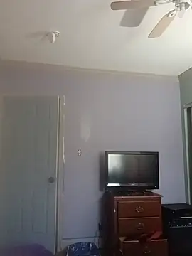 ReallyReallyReal webcam