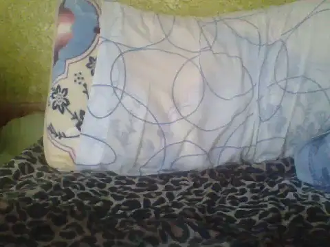 CohesiveCatching webcam