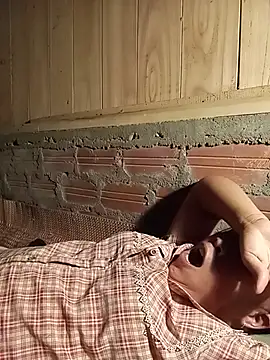 Ip34 webcam
