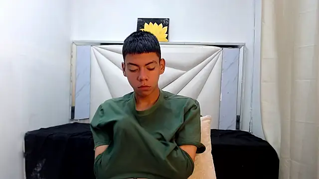 Liarr_ webcam
