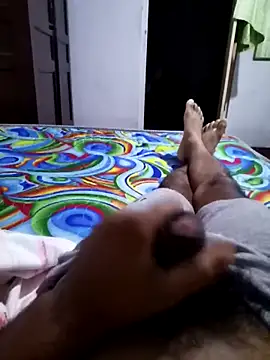 SlNotybo webcam