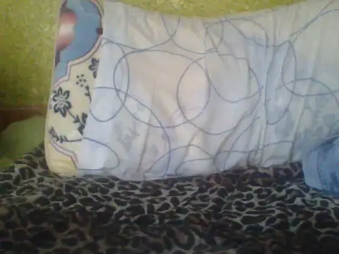 CohesiveCatching webcam