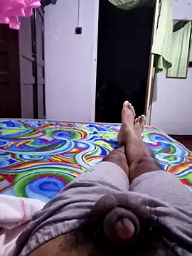 SlNotybo webcam