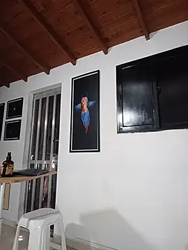 SilvaBranko webcam