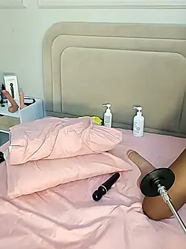 Liastarkk webcam